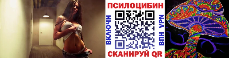 Галлюциногенные грибы мицелий  Купить  Истра 